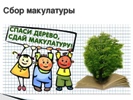 Акция «Спаси дерево - сдай макулатуру»