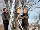 Делаем добрые дела: на территории Себежского филиала установили искусственные гнездовья для птиц
